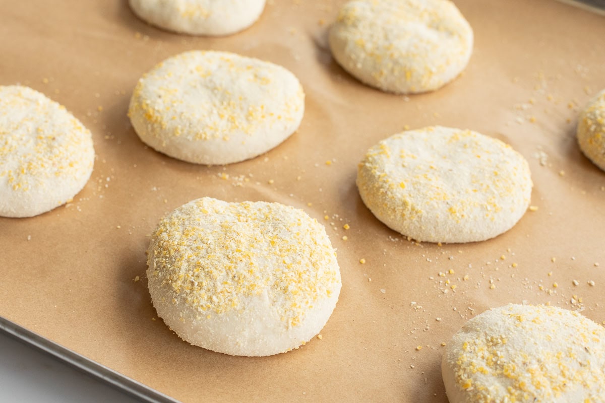 english muffins with cornmeal on them on a parchment lined baking sheet.
