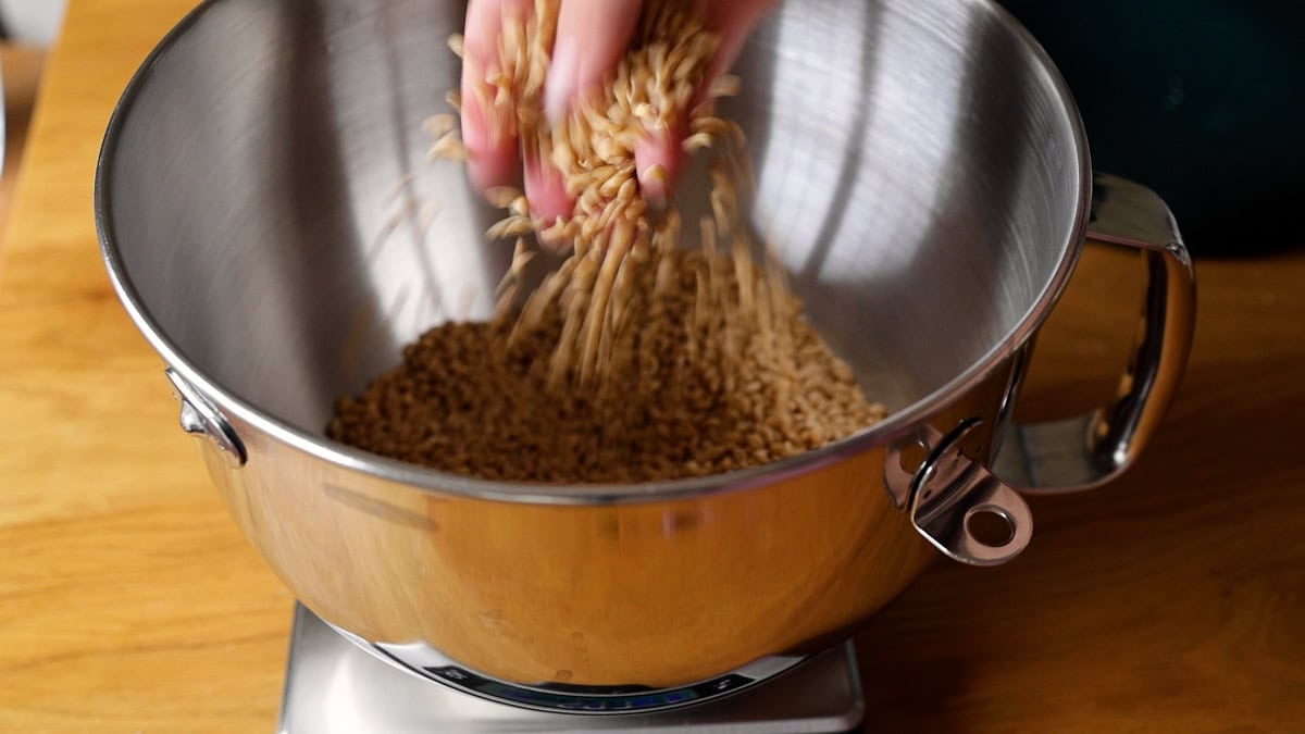 hand dropping wheat berries into mixing bowl.