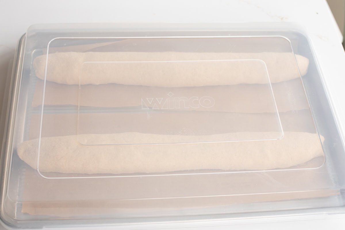 covered shaped french bread dough using fresh milled flour on parchment lined baking sheet.